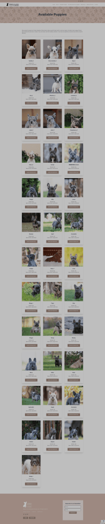 FrenchBulldogsFromEurope weboldal fejlesztés
