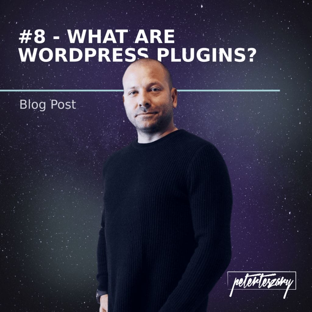 what are wordpress plugins